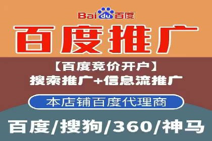 网络营销实战：成功竞价推广案例分析